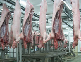 屠宰業(yè)超高溫?zé)岜脵C(jī)組方案